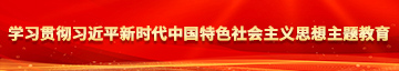 插进女孩逼里视频网站学习贯彻习近平新时代中国特色社会主义思想主题教育